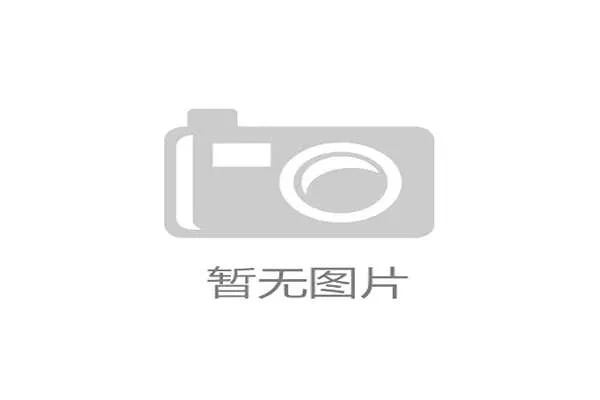 南安普敦分走百分之十五二转分成：如何在创业中实现高效利润分配与团队激励